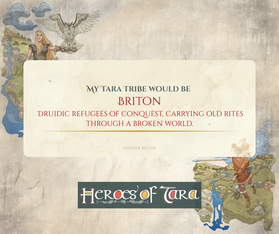 AMES Facebook Campaign